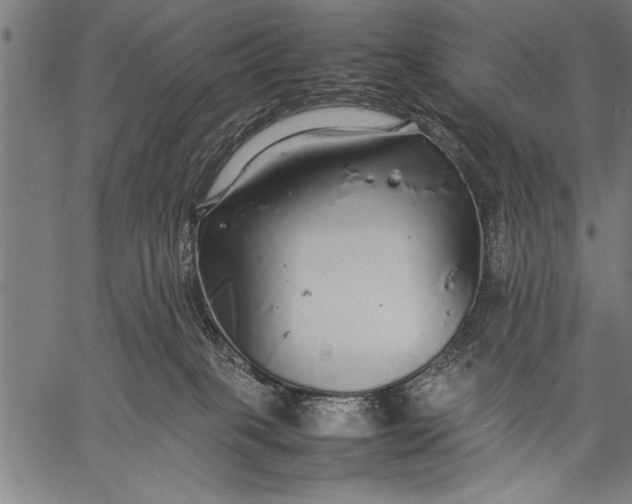 X0000057100085200509301628