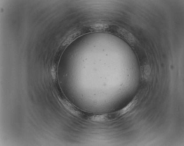 X0000057100086200509301628