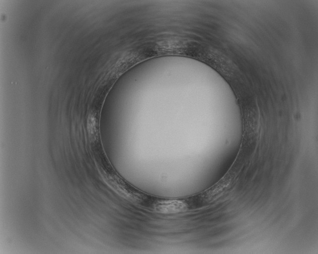 X0000057100087200509301628