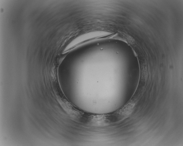 X0000057100088200509301628