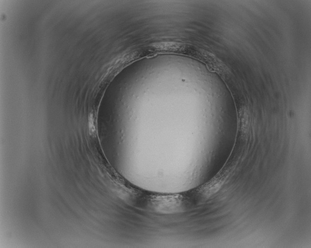 X0000057100089200509301628