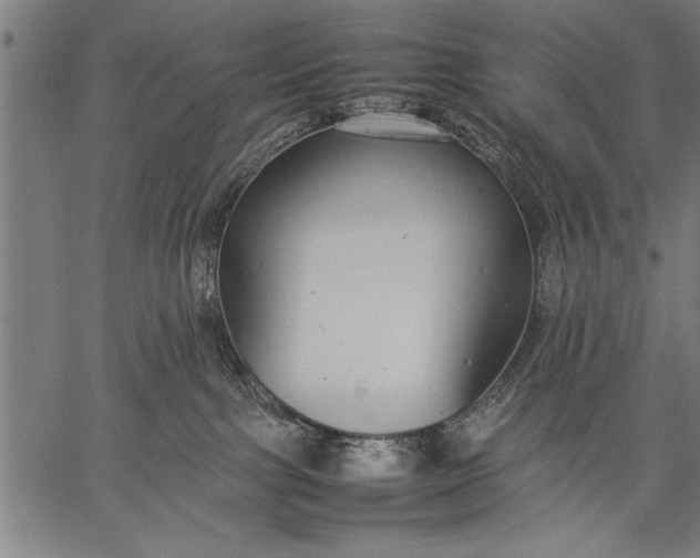 X0000057100091200509301628