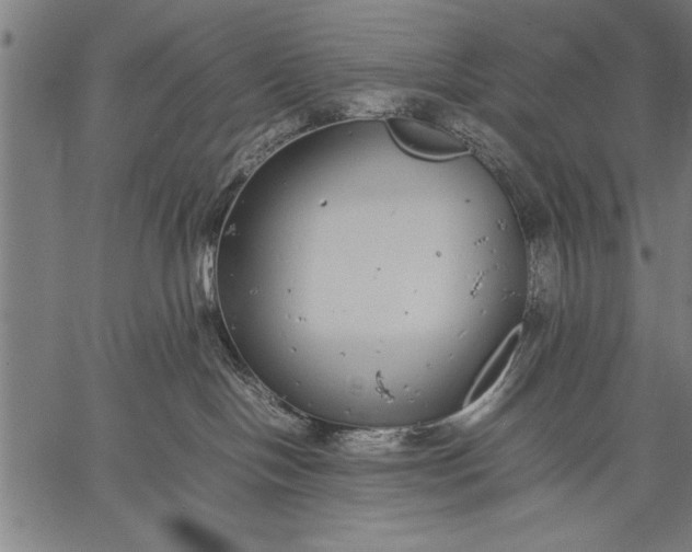 X0000057100094200509301628