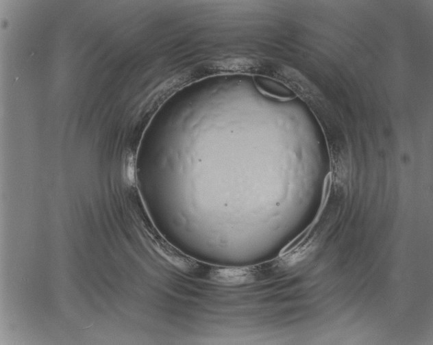 X0000057100095200509301628