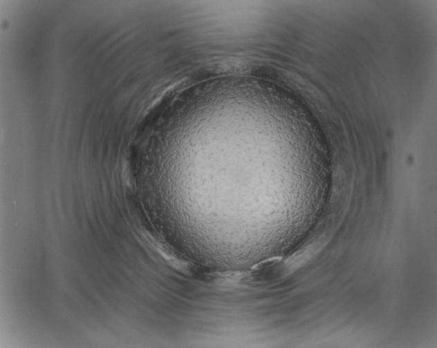 X0000057100096200509301628