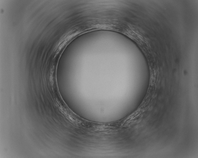 X0000057100098200509301627