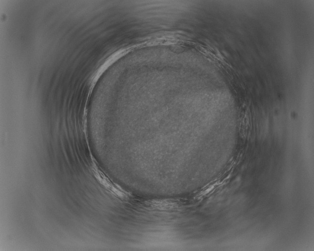 X0000057100100200509301627