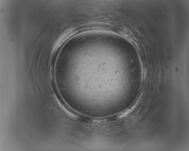 X0000057100101200509301627