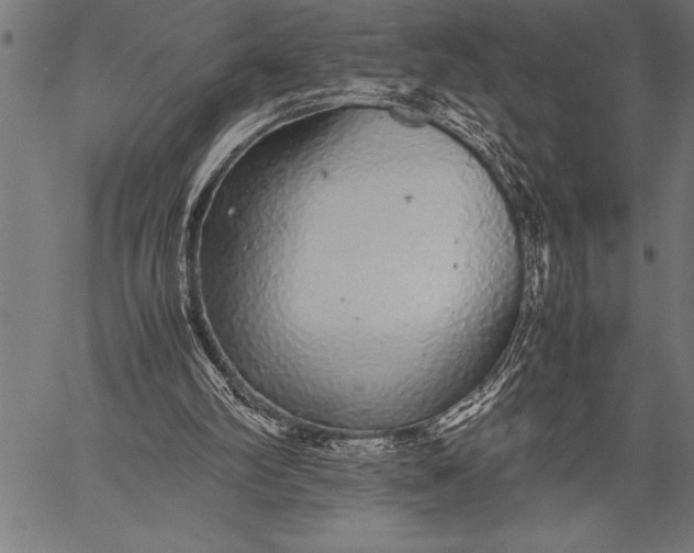 X0000057100102200509301627