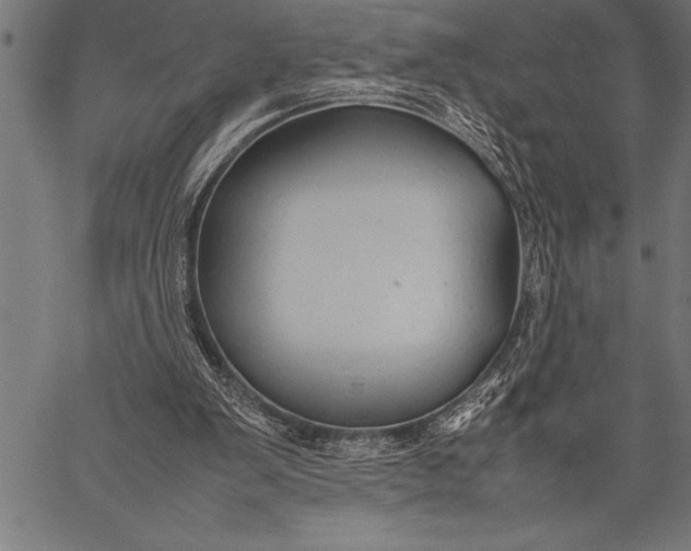 X0000057100103200509301627