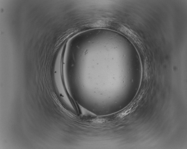 X0000057100105200509301627