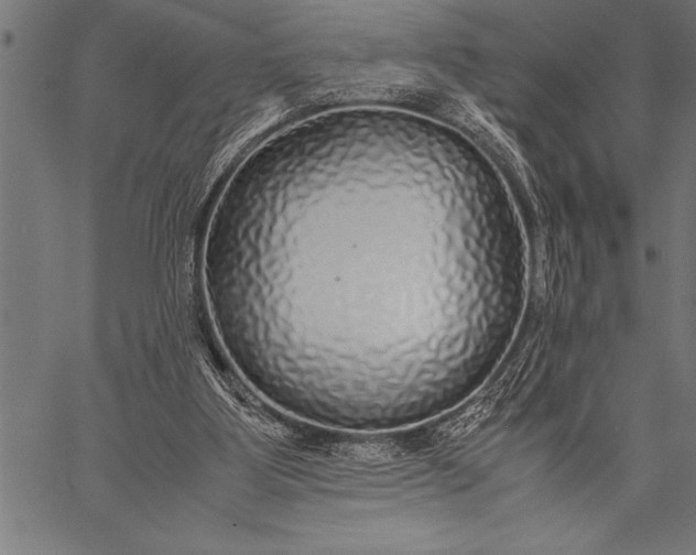 X0000057100107200509301627