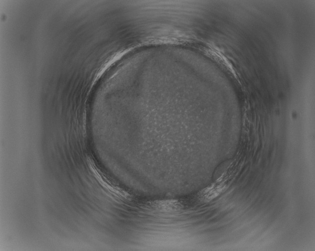 X0000057100108200509301627