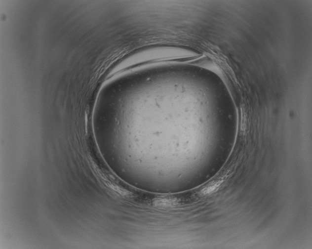 X0000057100109200509301627