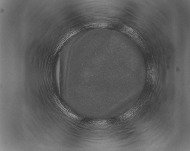 X0000057100110200509301627