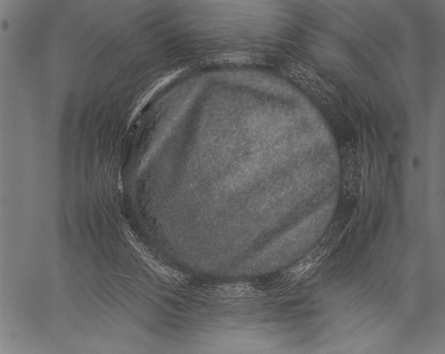 X0000057100112200509301627