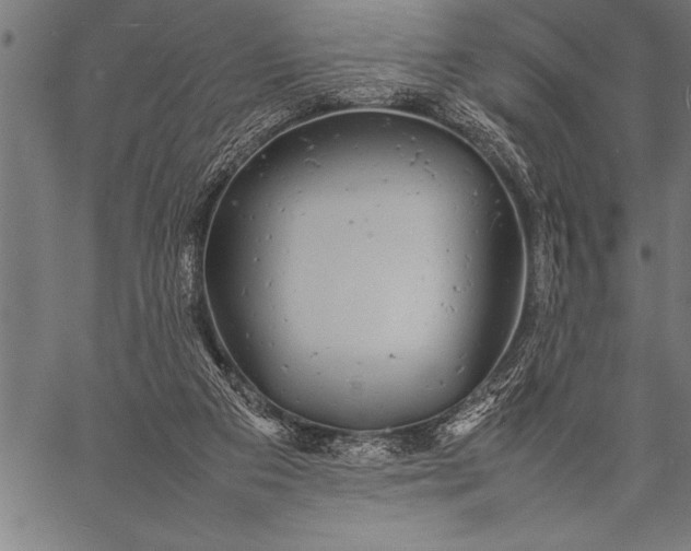 X0000057100113200509301627