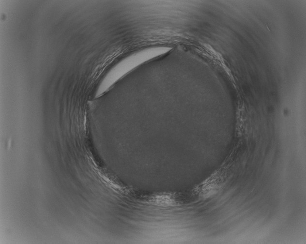 X0000057100114200509301627