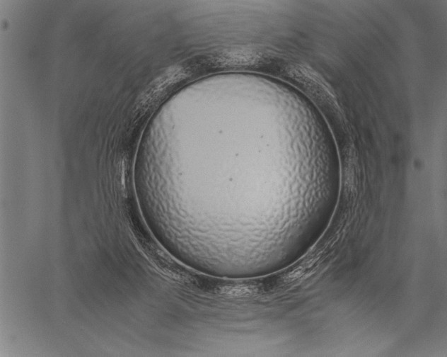 X0000057100115200509301627