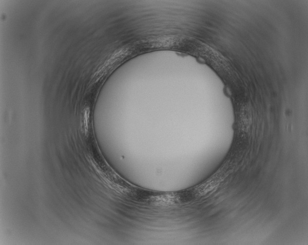 X0000057100118200509301627