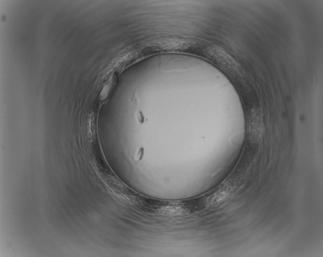 X0000057100119200509301627