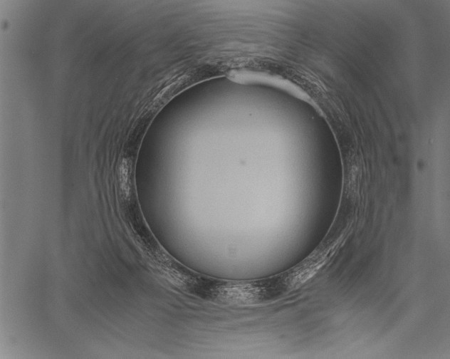 X0000057100121200509301627