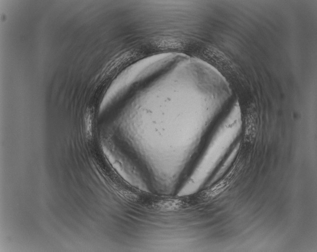 X0000057100124200509301627