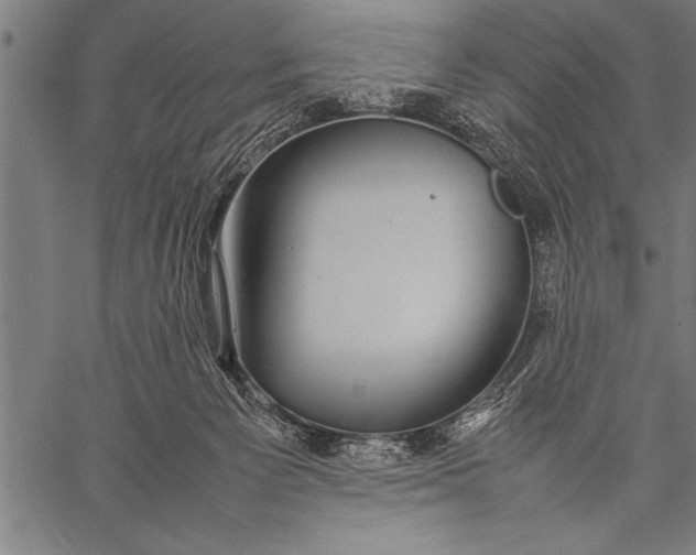 X0000057100125200509301627