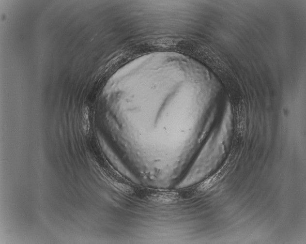 X0000057100128200509301627