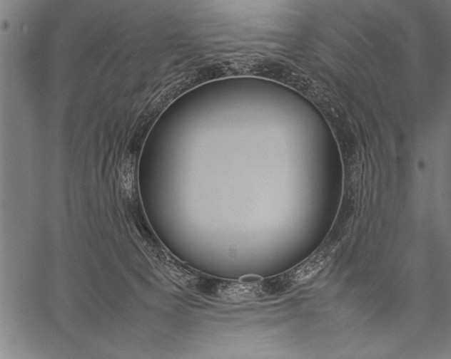 X0000057100129200509301627