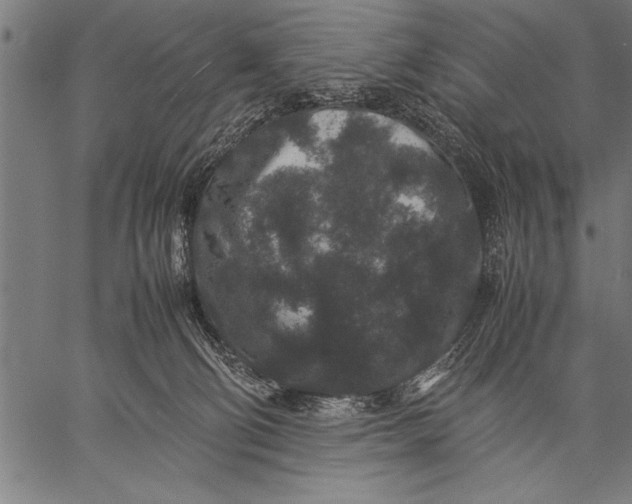 X0000057100130200509301627