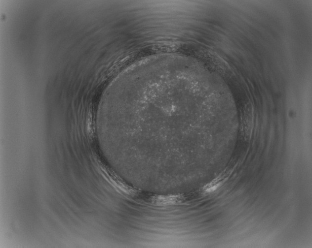 X0000057100134200509301627