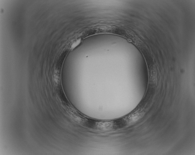 X0000057100135200509301627