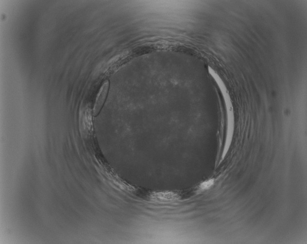 X0000057100137200509301627