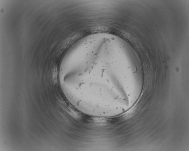 X0000057100144200509301627