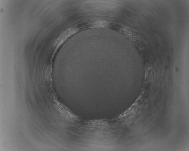 X0000057100146200509301626