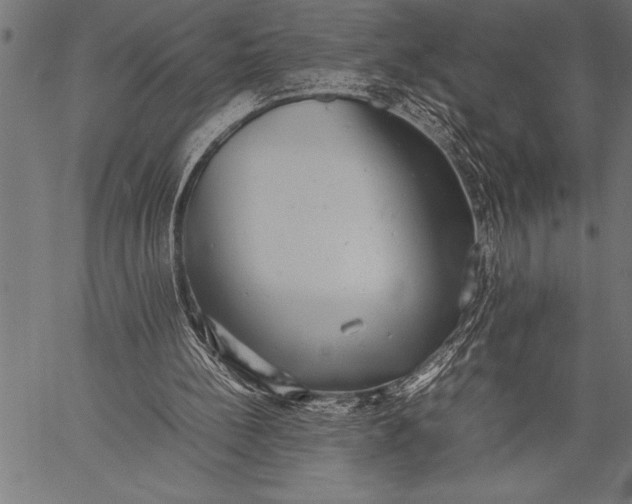 X0000057100148200509301626