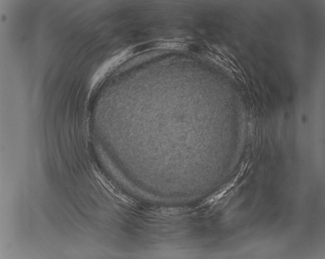 X0000057100149200509301626