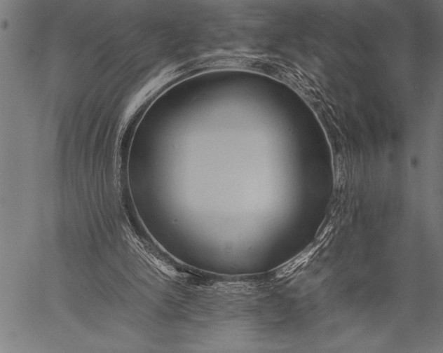 X0000057100150200509301626