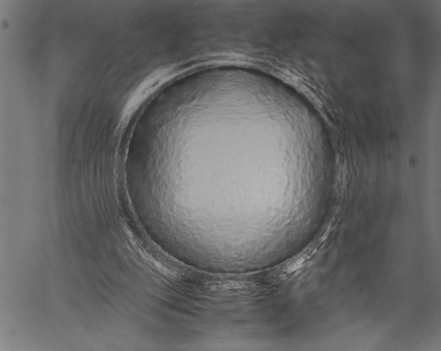 X0000057100151200509301626