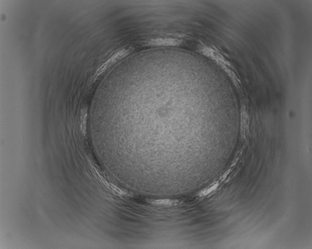 X0000057100153200509301626