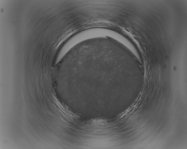 X0000057100154200509301626