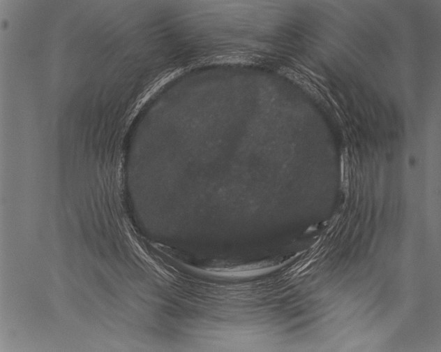 X0000057100156200509301626