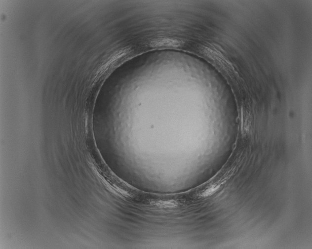 X0000057100157200509301626