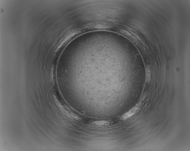 X0000057100158200509301626