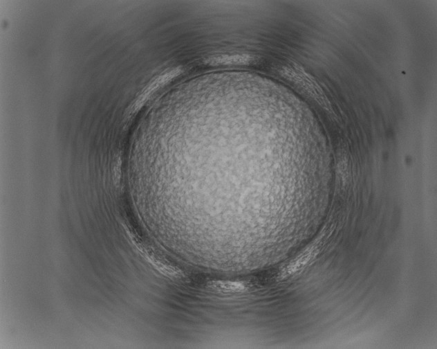 X0000057100159200509301626