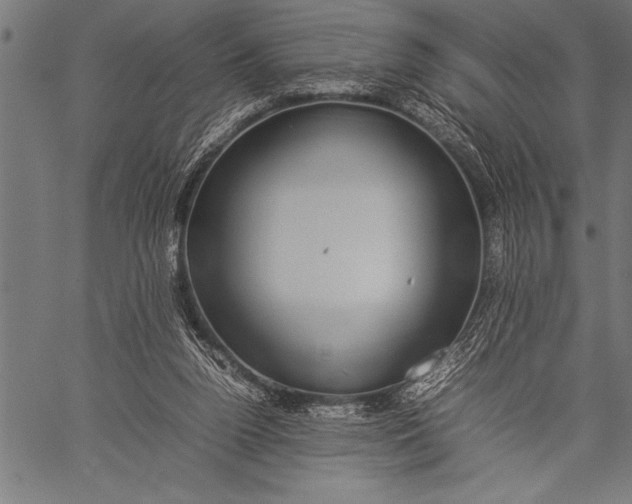 X0000057100160200509301626