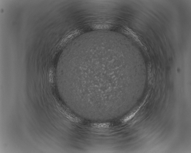 X0000057100161200509301626