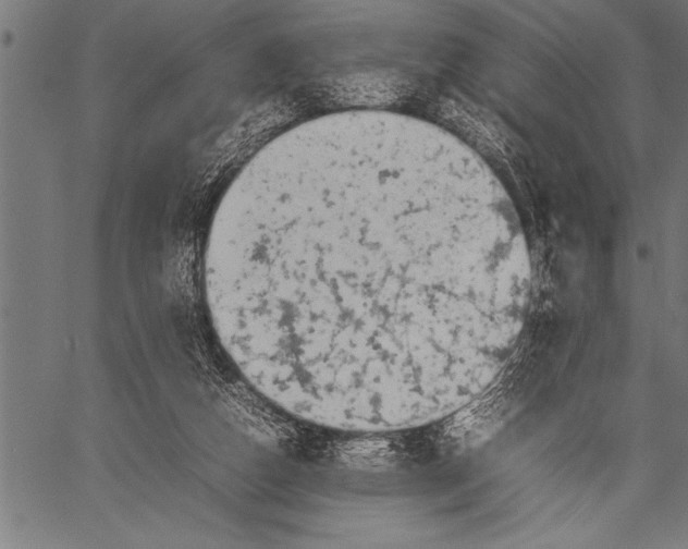 X0000057100162200509301626