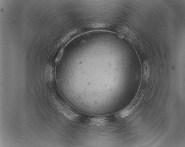 X0000057100164200509301626